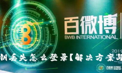 TP钱包私钥丢失怎么登录?解决方案与预防措施