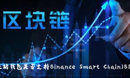 以太坊钱包是否支持Binance Smart Chain(BSC)?