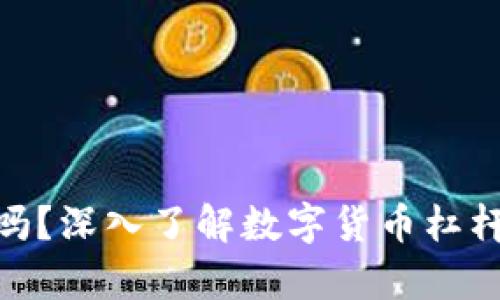 数字货币都有杠杆吗?深入了解数字货币杠杆交易的机制与风险
