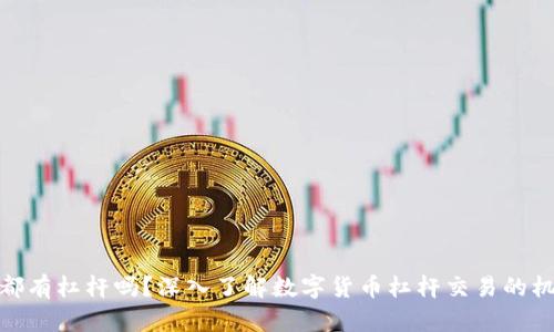 数字货币都有杠杆吗?深入了解数字货币杠杆交易的机制与风险