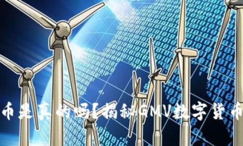 GMV数字货币是真的吗?揭秘GMV数字货币背后的真相