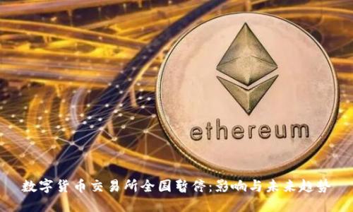 数字货币交易所全国暂停:影响与未来趋势