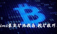 : t p钱包dmd最新矿池指南：