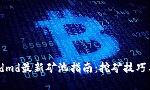 : t p钱包dmd最新矿池指南:挖矿技巧与收益分析