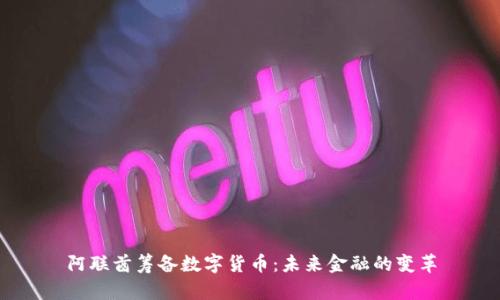 阿联酋筹备数字货币:未来金融的变革