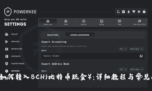 t p钱包如何转入BCH(比特币现金):详细教程与常见问题解答