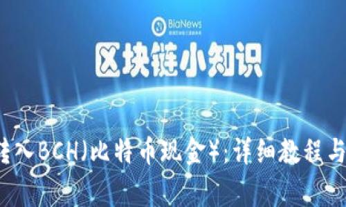 t p钱包如何转入BCH(比特币现金):详细教程与常见问题解答