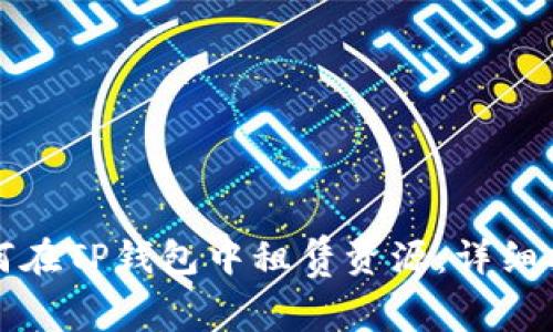 如何在TP钱包中租赁资源:详细指南