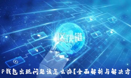 T P钱包出现问题该怎么办?全面解析与解决方案