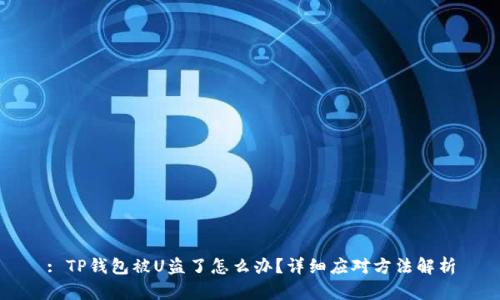 : TP钱包被U盗了怎么办?详细应对方法解析