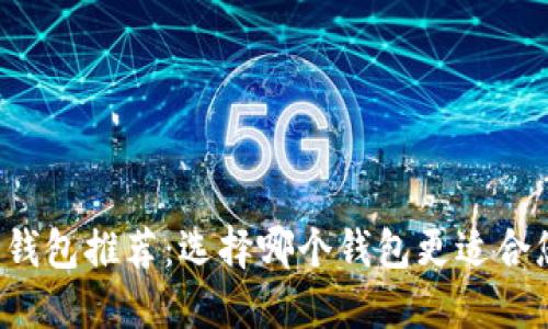 虚拟货币钱包推荐:选择哪个钱包更适合您的需求?