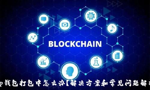 tp钱包打包中怎么办?解决方案和常见问题解析