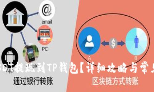 如何将USDT提现到TP钱包?详细攻略与常见问题解答