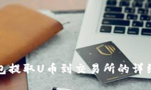 TP钱包提取U币到交易所的详细流程