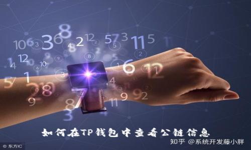 如何在TP钱包中查看公链信息