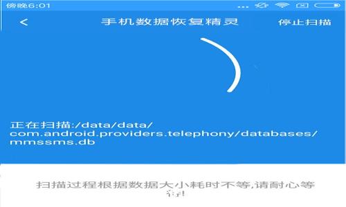 如何在TP钱包中查看公链信息