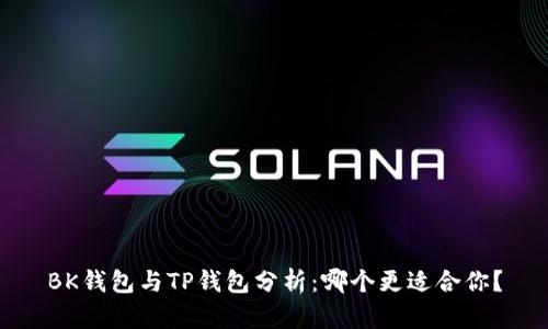 BK钱包与TP钱包分析:哪个更适合你?
