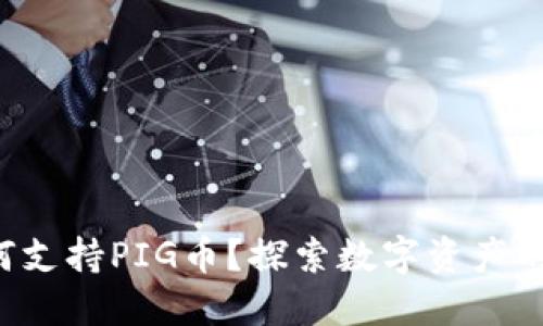 TP钱包如何支持PIG币？探索数字资产的无限可能！