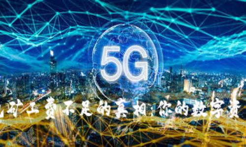  探秘TP钱包矿工费不足的真相：你的数字资产安全隐患！