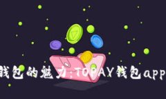 一次性见证数字钱包的魅