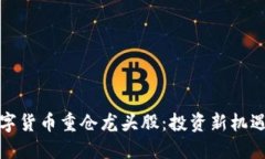 揭秘数字货币重仓龙头股