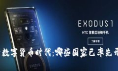 逐梦数字货币时代：哪些