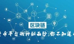 揭开沈佳华数字货币平台