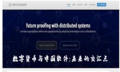 数字货币与中国软件：未