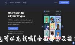   TP钱包可以充钱吗？全面