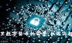 阿里数字货币的前景：机