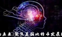 数字货币的未来：聚焦美