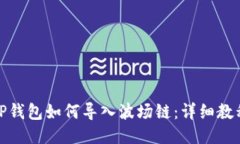 TP钱包如何导入波场链：详