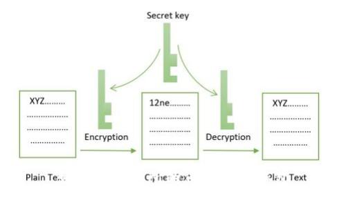 如何将交易所的币提到TP钱包