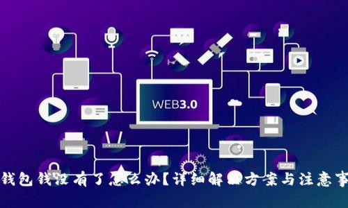 TP钱包钱没有了怎么办？详细解决方案与注意事项