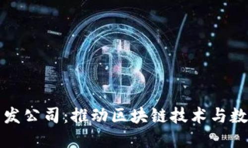 数字货币开发公司：推动区块链技术与数字资产创新