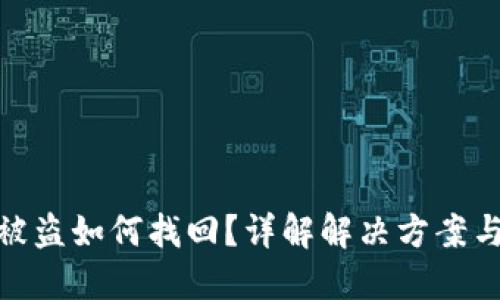 TP钱包币被盗如何找回？详解解决方案与预防措施