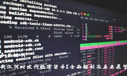 和关键词

武汉何时发行数字货币？全面解析及未来展望