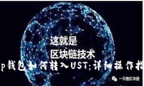 t p钱包如何转入UST：详细操作指南