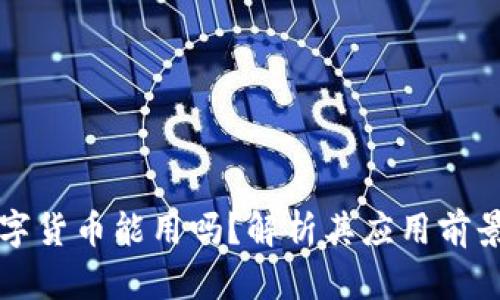 虚拟数字货币能用吗？解析其应用前景与挑战