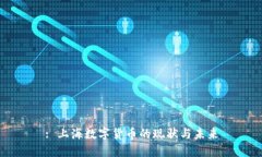 : 上海数字货币的现状与未