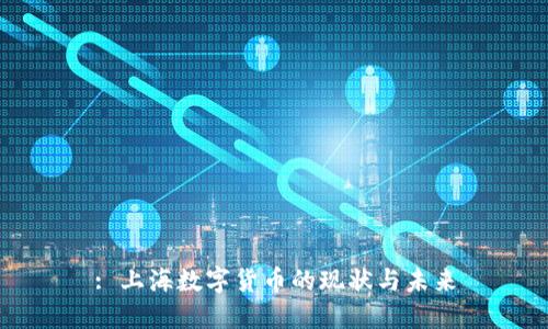 : 上海数字货币的现状与未来